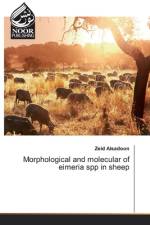 Morphological and molecular of eimeria spp in sheep af Zeid Alsadoon