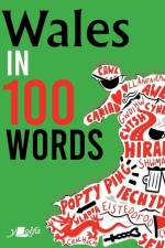 Wales in 100 Words af Garmon Gruffudd