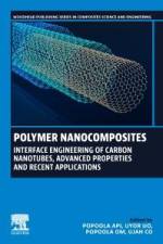 Polymer Nanocomposites af API Popoola