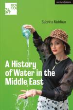 A History of Water in the Middle East af Sabrina Mahfouz