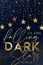 falling dark stars af C. S. King