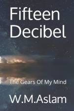 Fifteen Decibel af W M Aslam
