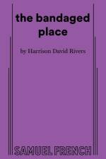 the bandaged place af Harrison David Rivers