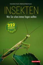 Insekten - Was Sie schon immer fragen wollten af Hannelore Hoch
