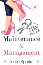 Maintenance & Management af Indie Sparks