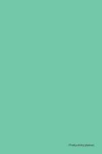 Productivity Planner 2024 - Mint af C. Prince