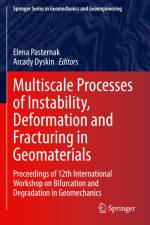 Multiscale Processes of Instability, Deformation and Fracturing in Geomaterials af Arcady Dyskin