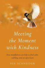 Meeting the Moment with Kindness af Sue Schneider