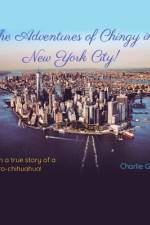 The Adventures of Chingy in New York City! af Charlie Gonzalez