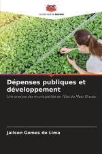 Dépenses publiques et développement af Jailson Gomes de Lima