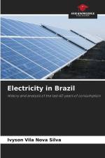 Electricity in Brazil af Ivyson Vila Nova Silva