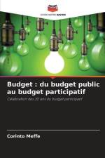 Budget : du budget public au budget participatif af Corinto Meffe