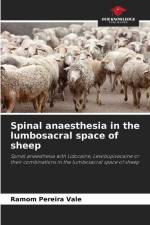 Spinal anaesthesia in the lumbosacral space of sheep af Ramom Pereira Vale