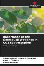 Importance of the Ñeembucú Wetlands in CO2 sequestration af Ximena Judith Galeano Graupera