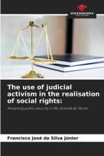 The use of judicial activism in the realisation of social rights: af Francisco José Da Silva Júnior