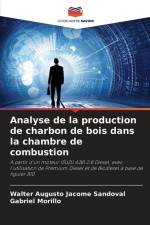 Analyse de la production de charbon de bois dans la chambre de combustion af Walter Augusto Jácome Sandoval