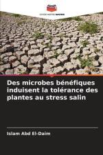 Des microbes bénéfiques induisent la tolérance des plantes au stress salin af Islam Abd El-Daim