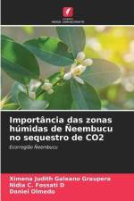 Importância das zonas húmidas de Ñeembucu no sequestro de CO2 af Ximena Judith Galeano Graupera