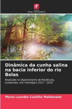 Dinâmica da cunha salina na bacia inferior do rio Bolas af María Lourdes Castilla Maldonado