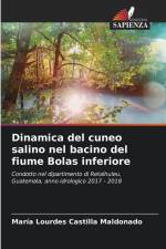 Dinamica del cuneo salino nel bacino del fiume Bolas inferiore af María Lourdes Castilla Maldonado