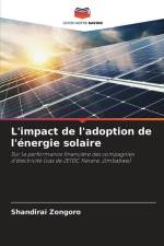 L'impact de l'adoption de l'énergie solaire af Shandirai Zongoro