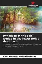 Dynamics of the salt wedge in the lower Bolas river basin af María Lourdes Castilla Maldonado