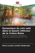 Dynamique du coin salé dans le bassin inférieur de la rivière Bolas af María Lourdes Castilla Maldonado