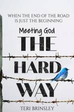 Meeting God The Hard Way: When The End Of The Road Is Just The Beginning af Teri Brinsley
