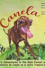 Canela's Adventures in the Rain Forest of Peru af Maria Del Rosario Basterra