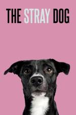 The Stray Dog af Damilola Ladipo
