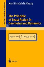 The Principle of Least Action in Geometry and Dynamics af Karl Friedrich Siburg