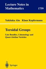 Toroidal Groups af Yukitaka Abe