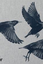 Søren Solkær: Black Sun