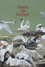 Jill Mulleady: Fight or Flight af Alison Coplan