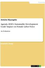 Agenda 2030¿s Sustainable Development Goals¿ Impact on Female Labor Force af Antoine Niyungeko