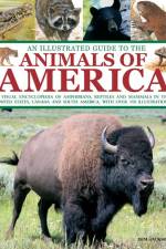 An Illustrated Guide to the Animals of America af Tom Jackson