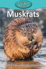 Muskrats af Victoria Blakemore