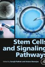 Stem Cells and Signaling Pathways af Surajit Pathak