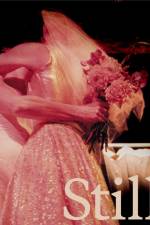 Still Life: Photographs & Love Stories af Kate Sterlin