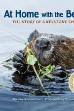At Home with the Beaver: A Story of a Keystone Species af Dorothy Hinshaw Patent