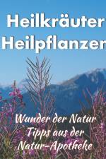Heilkräuter/ Heilpflanzen af Helga Schilden