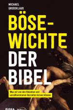 Bösewichte der Bibel af Michael Großklaus