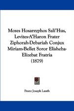 Moses Hosarsyphos Sali'Hus, Levites-A'Haron Frater Ziphorah-Debariah Conjux Miriam-Bellet Soror Elisheba-Elizebat Fratria (1879) af Franz Joseph Lauth