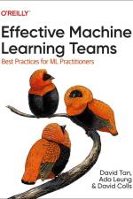 Effective Machine Learning Teams af David Tan