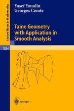 Tame Geometry with Application in Smooth Analysis af Georges Comte