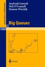 Big Queues af Ayalvadi J. Ganesh