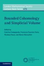 Bounded Cohomology and Simplicial Volume af Caterina Campagnolo