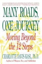 Many Roads One Journey af Charlotte S Kasl