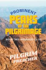 Prominent Peaks of the Pilgrimage 2 af Pilgrim Preacher