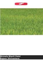 Caracterização Morfológica e Molecular do Arroz Aromático af Nirmala Bharti Patel